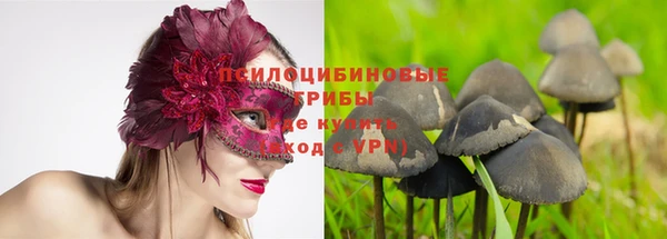 бошки Вязьма