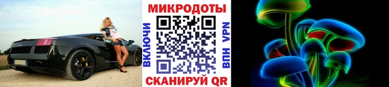 где купить наркоту  Дальнегорск  Галлюциногенные грибы прущие грибы 