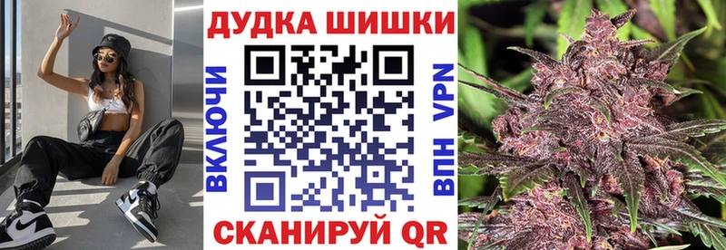как найти наркотики  Дальнегорск  Канабис план 